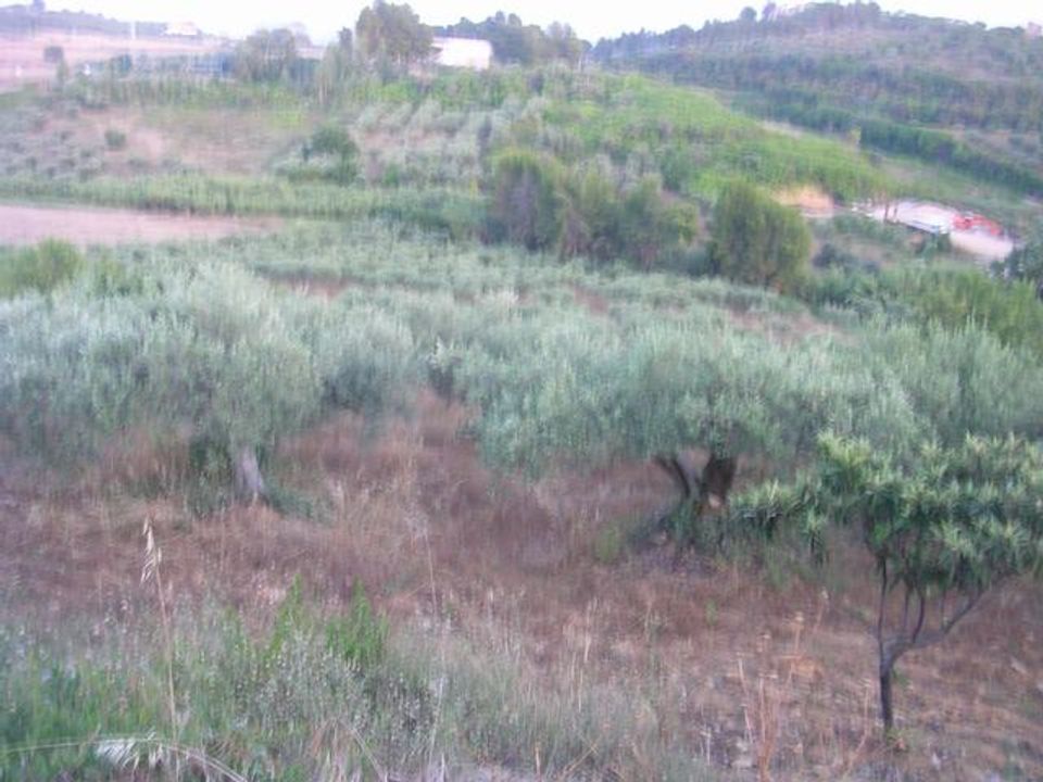 Helårsgrund i Cianciana, Agrigento - foto 3